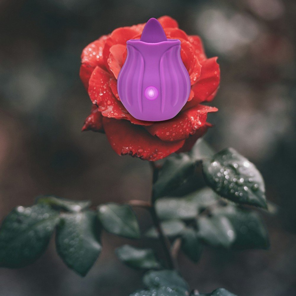  The Rose Tongue - Purple